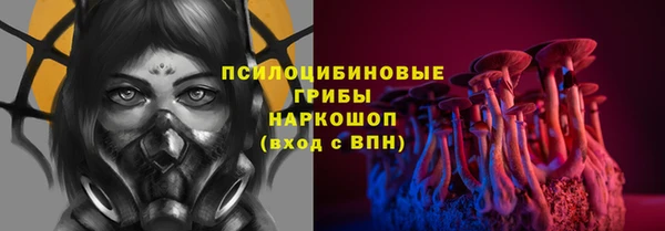тгк Зеленодольск