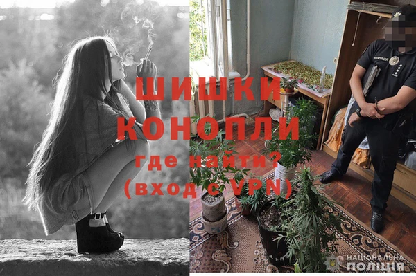 тгк Зеленодольск